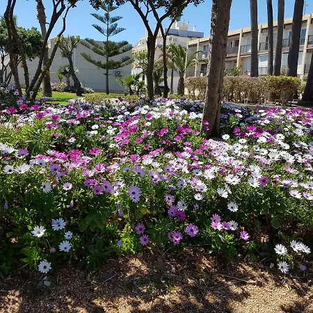 Apartamento Tropicana - Primera Linea De Playa